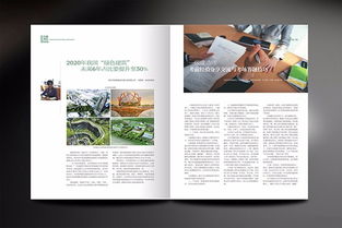 圖 深圳石巖產(chǎn)品畫冊(cè)設(shè)計(jì),企業(yè)畫冊(cè)專業(yè)設(shè)計(jì),石巖折頁(yè)設(shè)計(jì)公司 深圳設(shè)計(jì)策劃